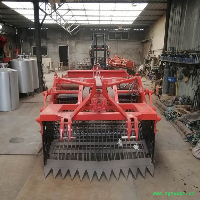 半夏收割机 丹参药材挖掘机直销 融兴 川芎药材收获机 前胡药材收获机价格图4