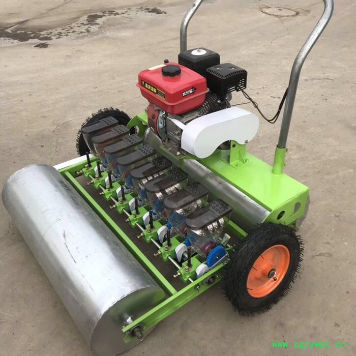 冠发 小白菜播种机 新款菠菜精播机厂家 **滚筒元胡药材收获机图4