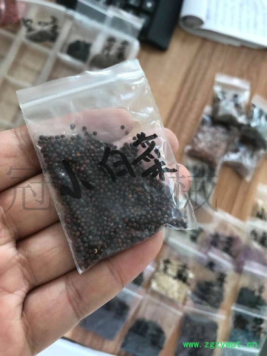 冠发 小白菜播种机 新款菠菜精播机厂家 **滚筒元胡药材收获机图8