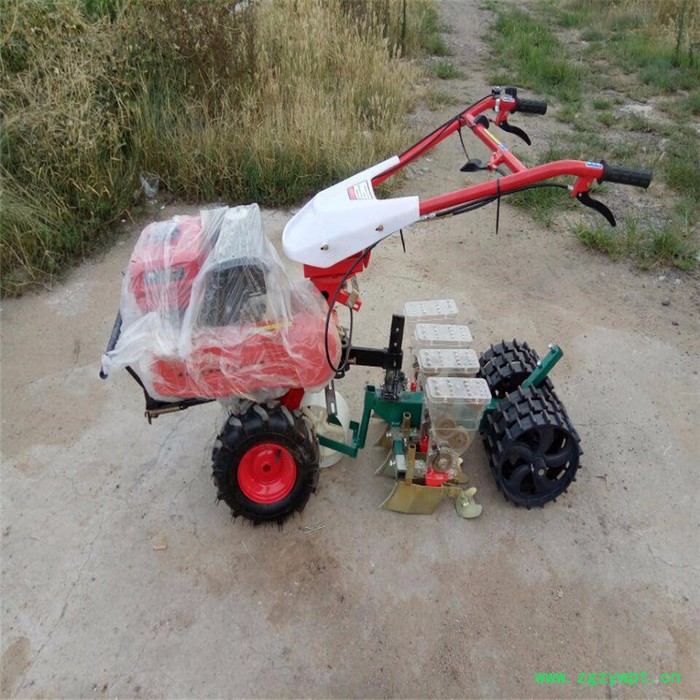 小颗粒谷子六行精播机 莆田菜籽播种机 小型元胡4行手推式播种机图2