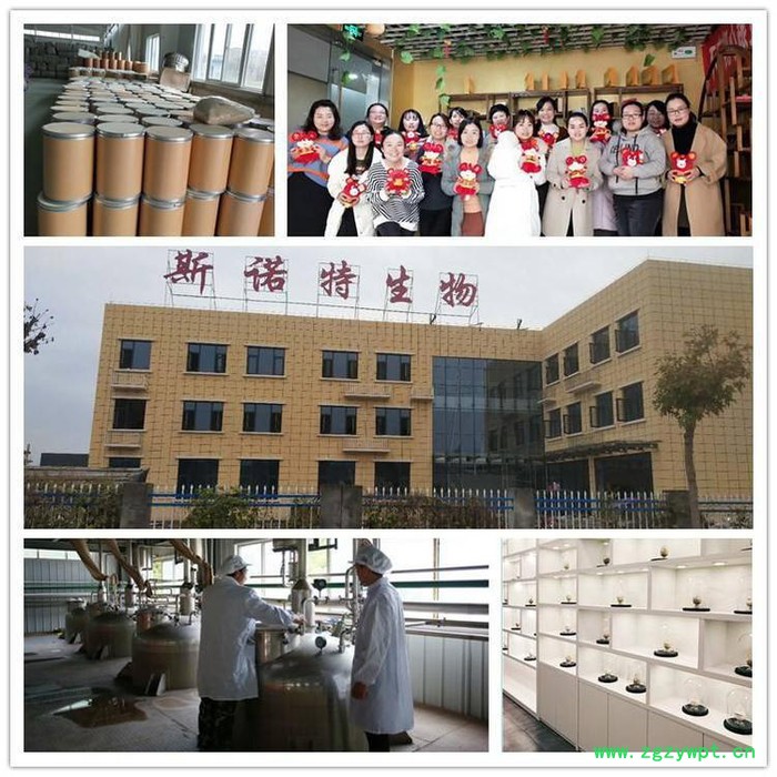 玉竹多糖30%  另有50%玉竹多糖供应图2