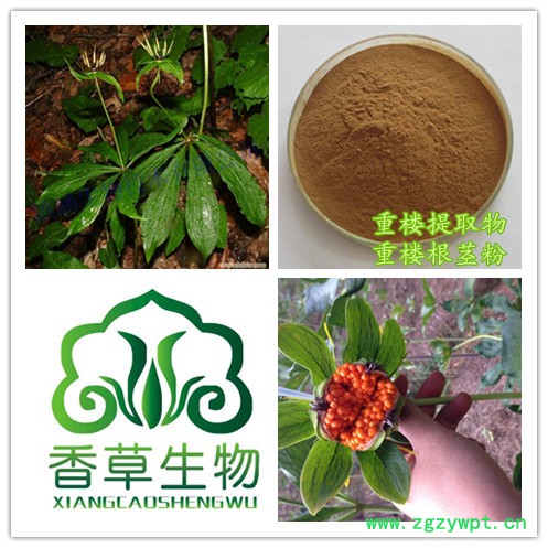 水溶型重楼粉120目 香草生物供应重楼提取物 重楼浸膏粉现货图3