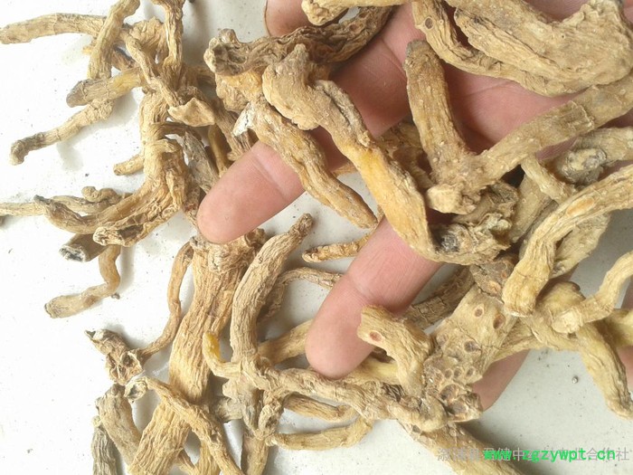 供应湖南玉竹产地  玉竹厂家批发 低价格   玉竹小统个图3