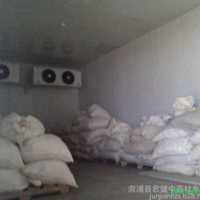 供应湖南玉竹产地  玉竹厂家批发 低价格   玉竹小统个