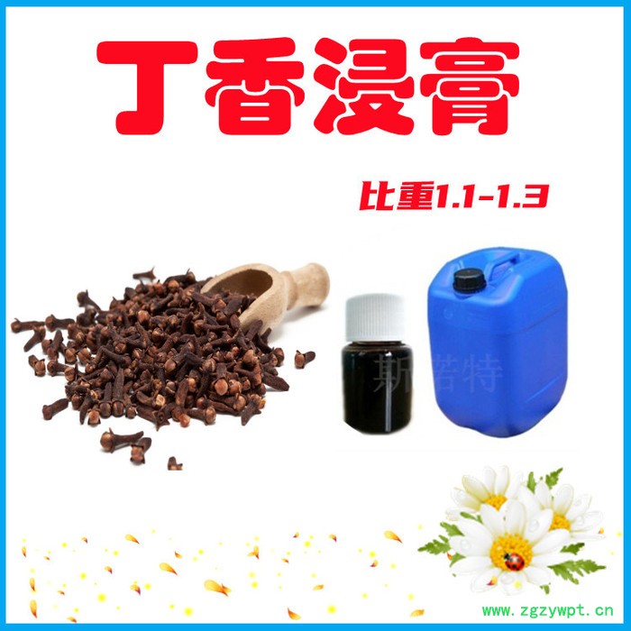 西洋参浸膏 浓缩汁比重1.2 气味浓郁 西洋参提取液图5