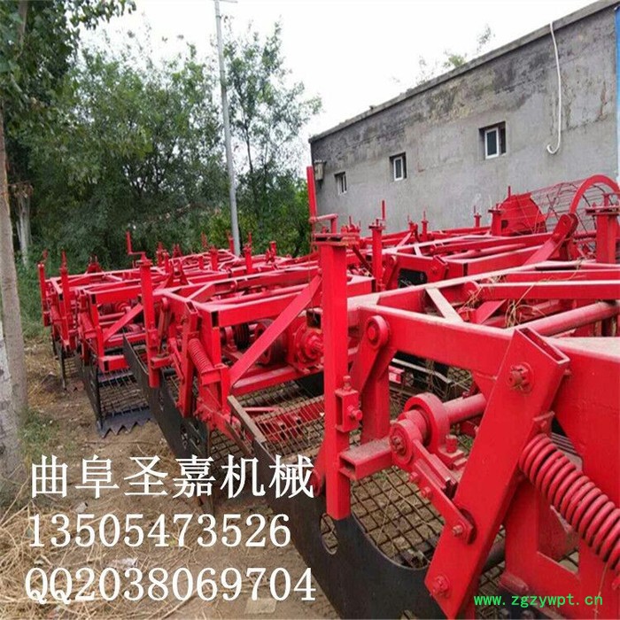 宁夏圣嘉JC-500型西洋参药材收获机** 丹参药材挖掘机质量保证图2