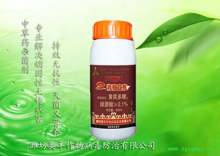 生物农药批发-杀菌剂青枯立克-西洋参锈病图3