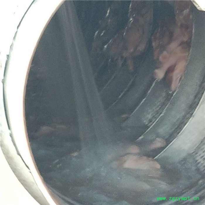 义康牌TQX-2000型西洋参滚筒清洗机 太子参滚筒清洗机 滚筒式蔬菜清洗机图3