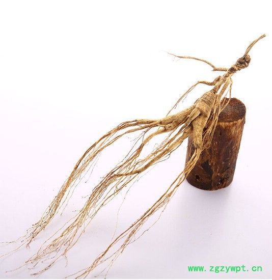 林山参西洋参人参生晒参人参泡酒图3