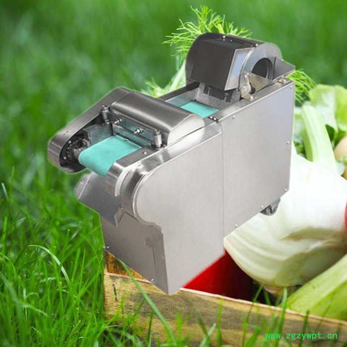 不带机头海带切丝机  节能型年糕切片切块机 西洋参切片机图6