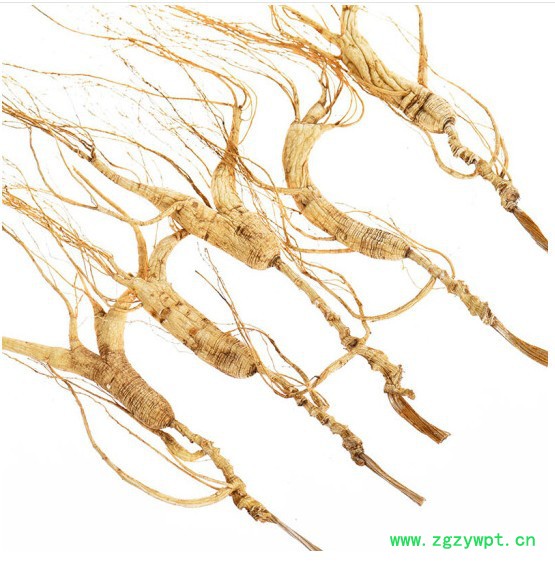 野山参西洋参**移山参林下参灵芝泡酒图3