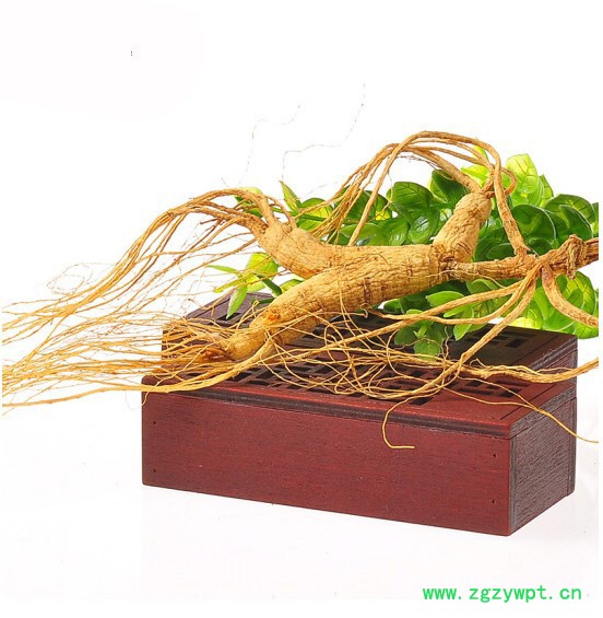 野山参西洋参**移山参林下参灵芝泡酒图2