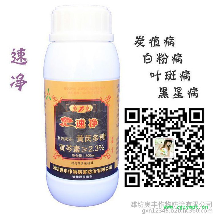 农药厂家批发-奥力克速净-西洋参黑斑病图4