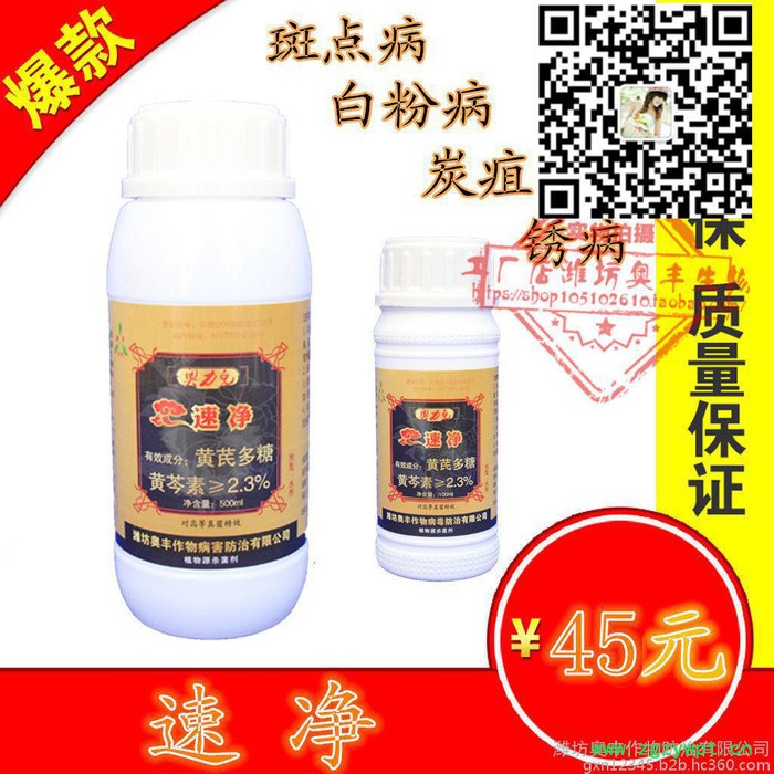 农药厂家批发-奥力克速净-西洋参黑斑病图6