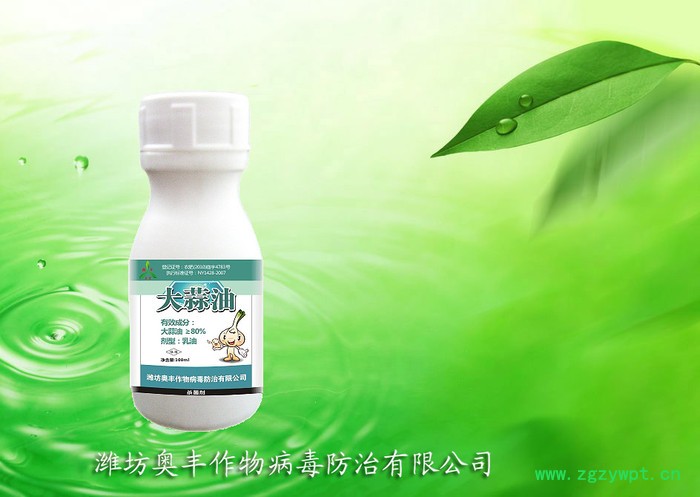 农药厂家批发-奥力克速净-西洋参黑斑病图2