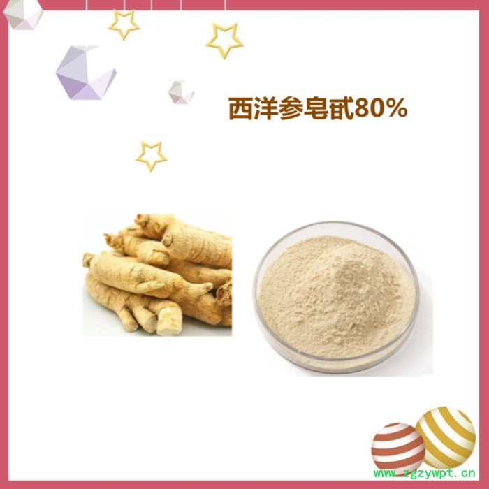 西洋参皂甙80% 西洋参提取物图4