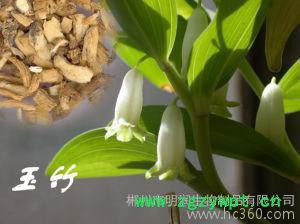 供应明润生物MR2001910100151玉竹提取物 滋阴润肺图2