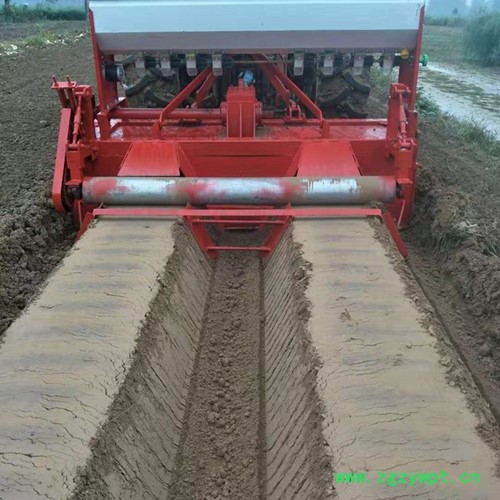 新乡培土机 西洋参专业培土机参数图6