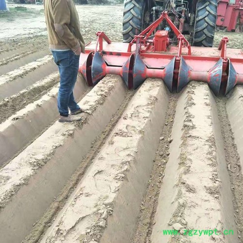 新乡培土机 西洋参专业培土机参数图4