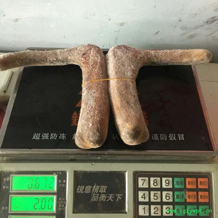 西洋参鹿茸东北特产鹿茸石斛人参鹿茸泡酒图3