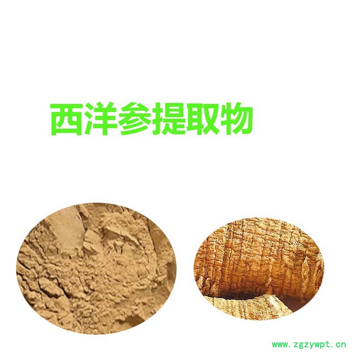 甘肃斯诺特 西洋参提取物  量大从优 西洋参粉图6
