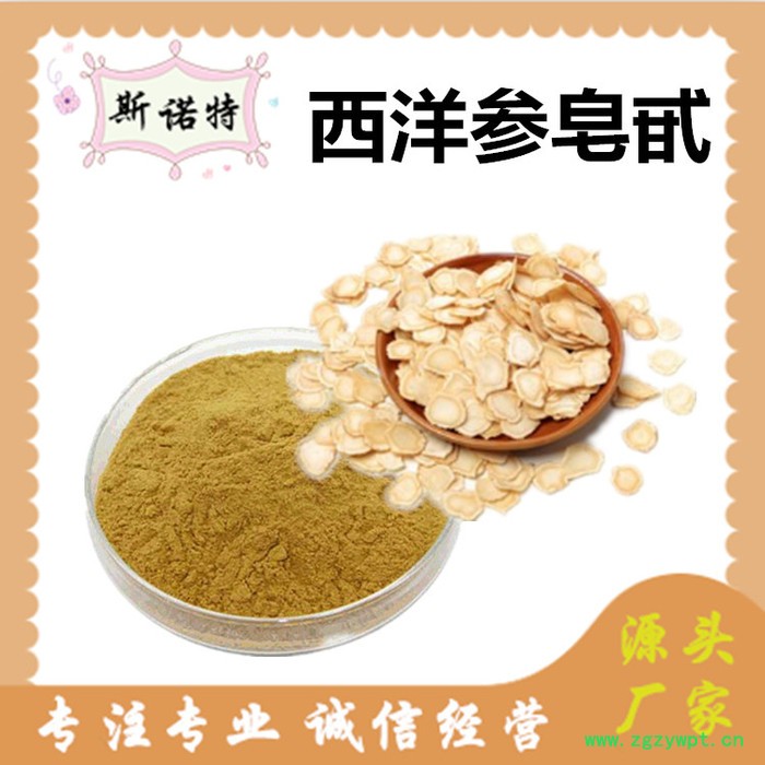 斯诺特 西洋参提取物 西洋参粉 厂家供应 包邮图5