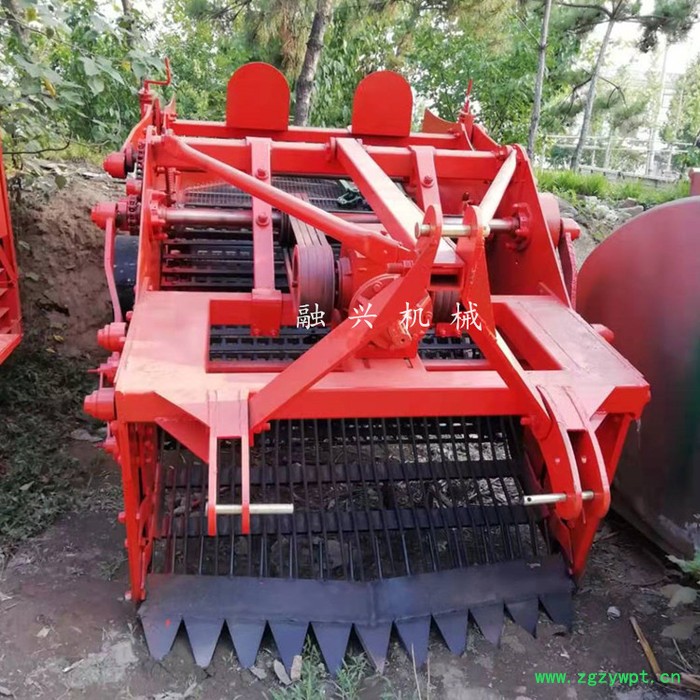 玉竹收获机 黄芪收获机厂家 甘草挖掘机工作原理 药材收获机曲阜厂家图4