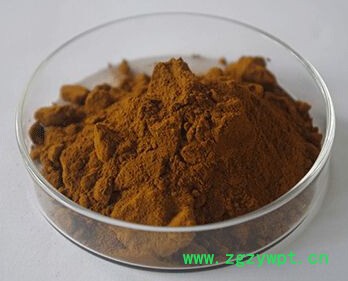 南箭 西洋参提取物 CAS： 50647-08-0（量多**现货） 西洋参提取物的价格图2