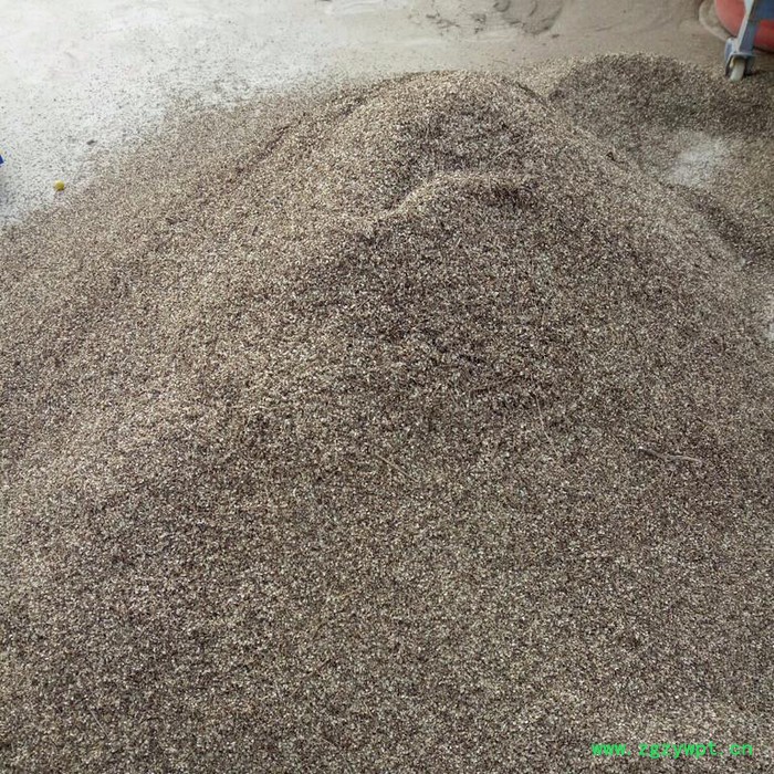 来喜 白花前胡种子 花种批发 厂家品质保障图2