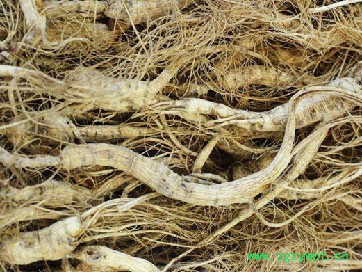 农产品  中药材烘干机 专属定制西洋参干燥设备  箱体烘干房  流水线式 农产品烘干机图3