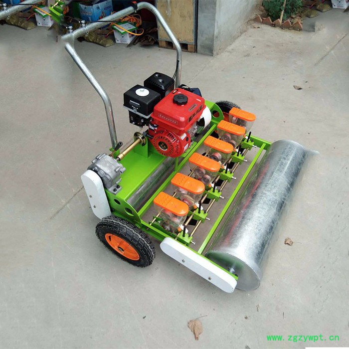 大同高粱播种机 启航香菜菠菜播种机 西洋参播种机型号价格图6