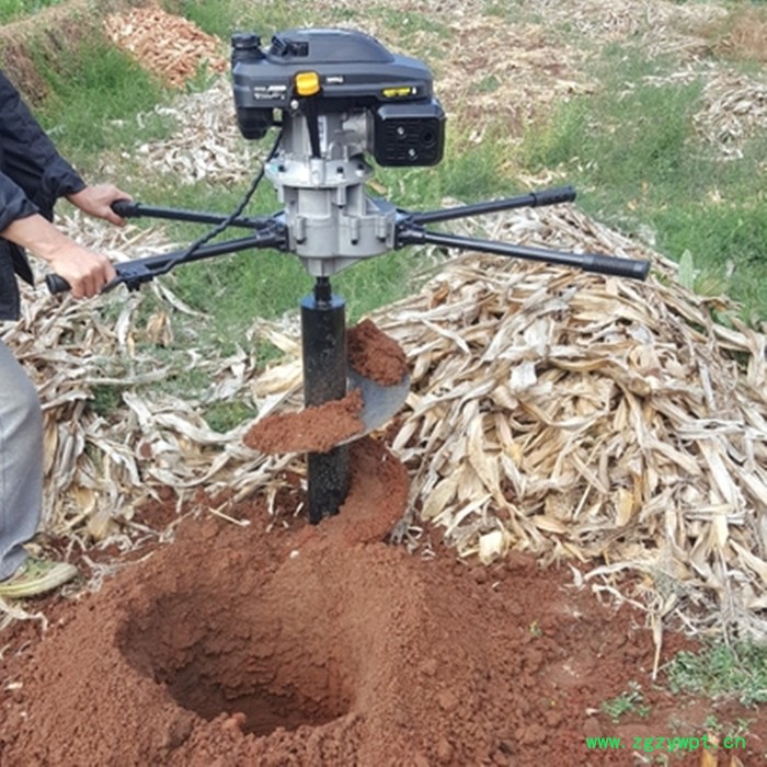 两当县西洋参好用挖坑机 花草种植钻眼机 D手提式挖洞机图2