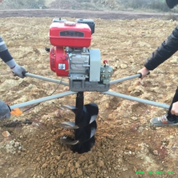 两当县西洋参好用挖坑机 花草种植钻眼机 D手提式挖洞机图5