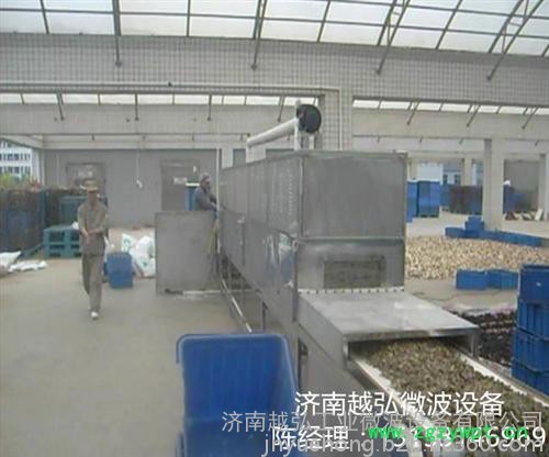 越弘YH西洋参微波杀菌设备图4