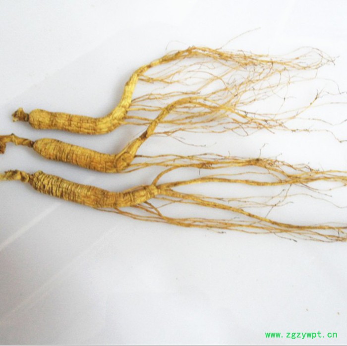 山参玉竹鸡汤25年移山参林下参趴货图2