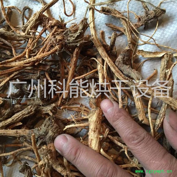 湖南前胡烘干机图4