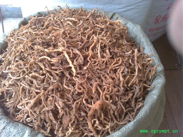 供应**玉竹厂家图2