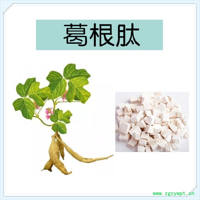 西洋参提取物 西洋参浓缩粉  可定制 水溶 99%图3