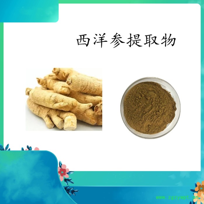 西洋参提取物 西洋参浓缩粉  可定制 水溶 99%图2
