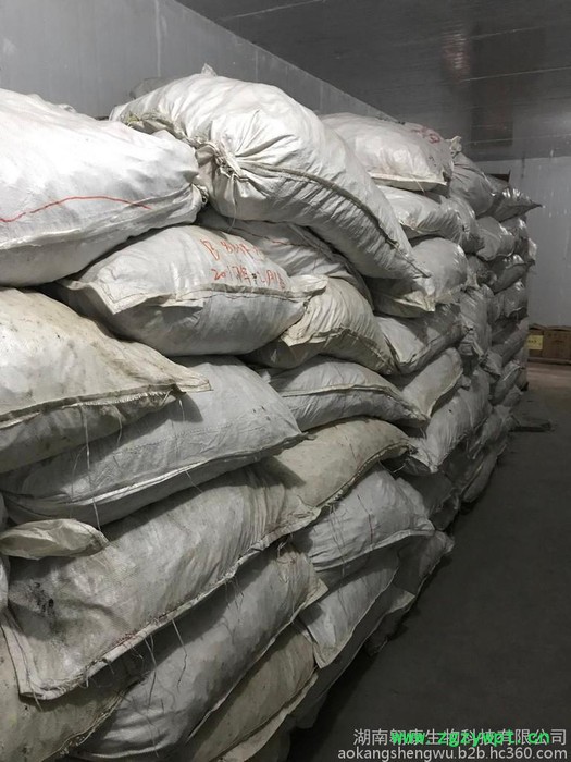 玉竹种苗 产地直销批发 玉竹种特选图4