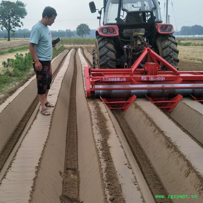 迪庆大型西洋参起垄机厂家图片图2