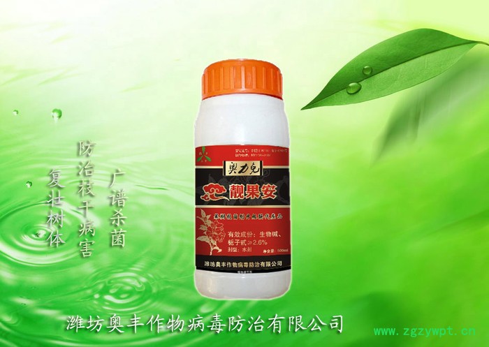 农药厂家批发-奥力克速净-西洋参叶锈病图2