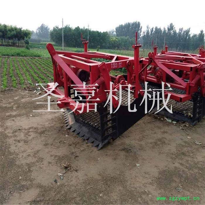 平凉龙胆草药材起挖机图片 白芍药材挖掘机 地黄出药机圣嘉直销图4