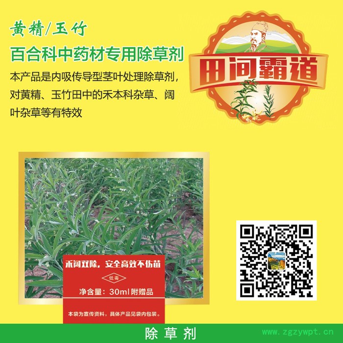 黄精除草剂  玉竹除草剂  百合科中药材除草剂 价格优惠图4