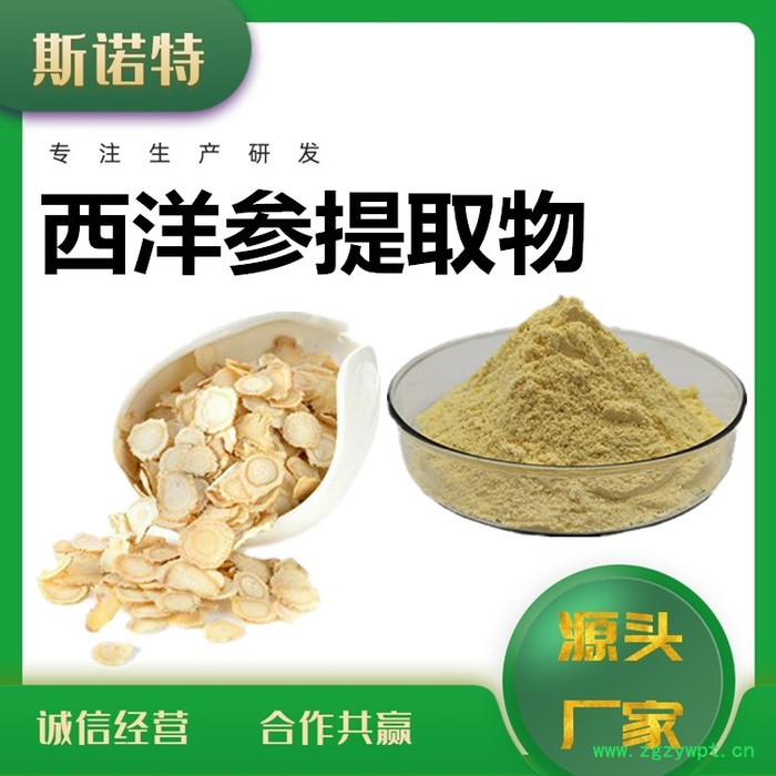斯诺特 西洋参皂甙 厂家供应 包邮 西洋参提取物图3