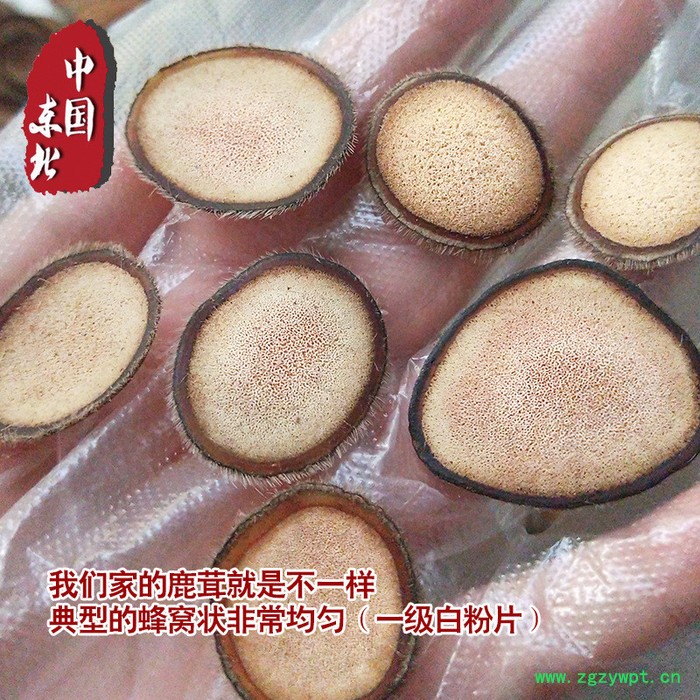 西洋参鹿茸新鲜鹿茸批发含血新鲜泡酒煲汤图2