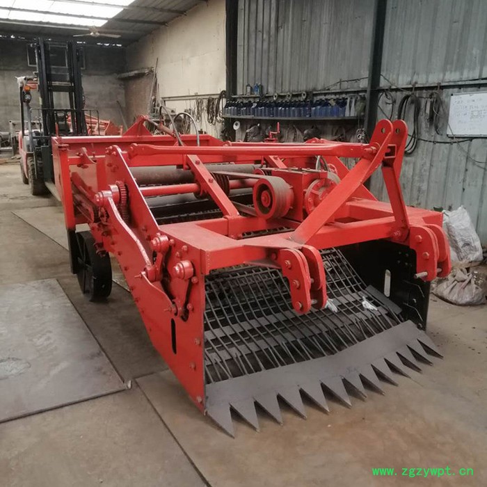 白芷收获机 麦冬起药机 融兴 苦参收割机价格 龙胆草出药机械图8