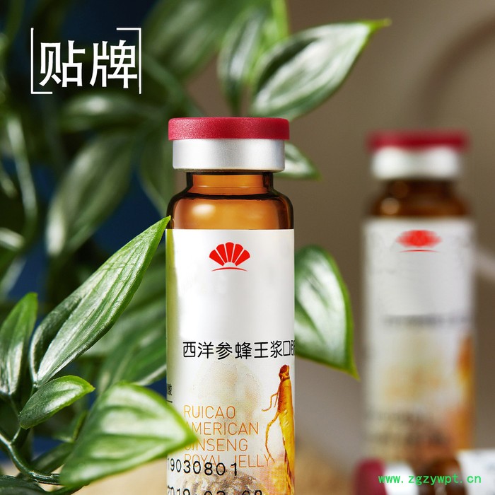 海参肽口服液 蜂王浆代加工 西洋参饮料 人参饮料oem 蜂王浆冻干粉代加工图2