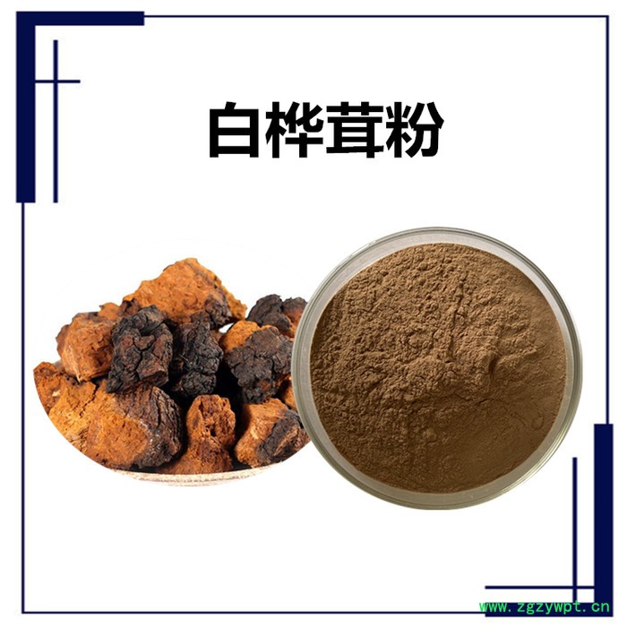 斯诺特生物 玉竹破壁粉  全水溶图3