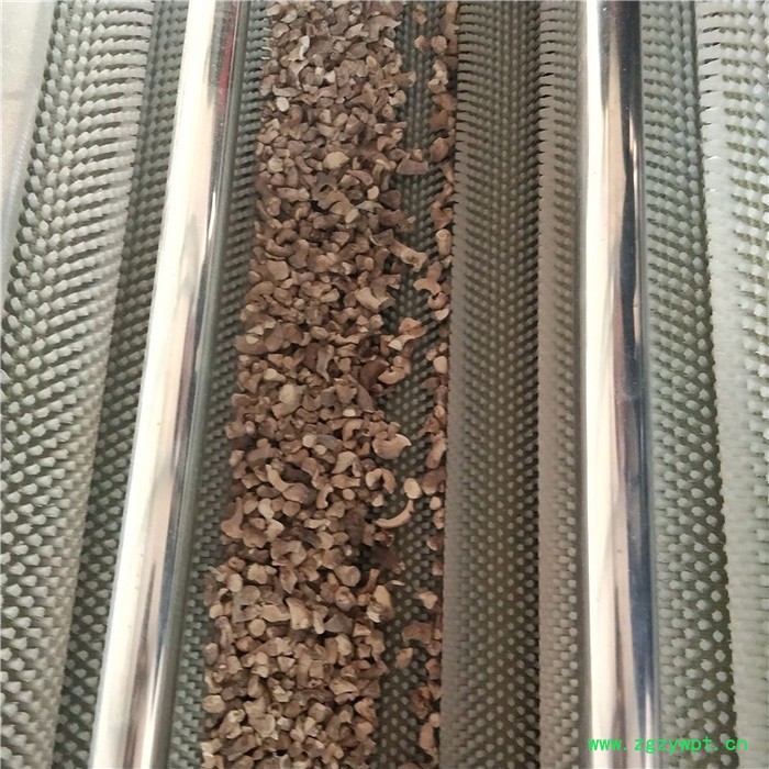 义康MQX-1500型西洋参毛棍清洗机 生姜去皮毛棍清洗机 鲍鱼毛棍清洗机图8